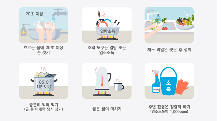 흐르는 물에 20초 이상 손씻기, 조리도구는 열탕 또는 염소소독, 채소과일은 씻은 후 섭취, 충분히 익혀먹기(굴 등 어패류 생식 삼가), 물은 끓여 마시기, 주변환경은 청결히 하기(염소소독액 1,000pm)